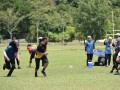 Tn dsc 1160